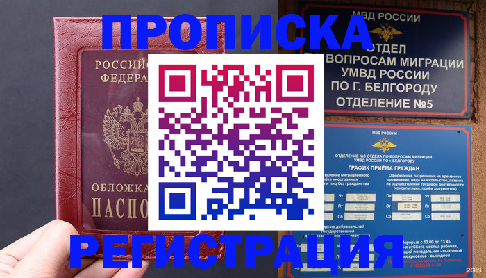 прописка в квартире в Камышлове